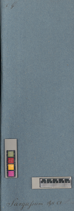 LE A0003946