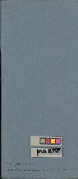 LE A0003957