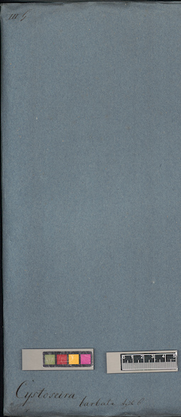 LE A0003970