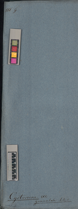 LE A0003996