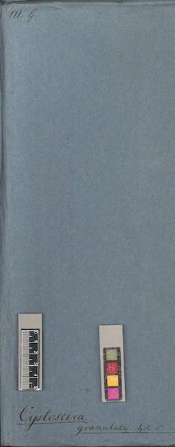 LE A0004375