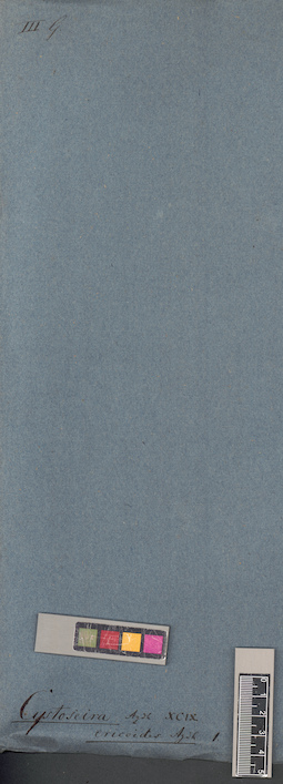 LE A0004394
