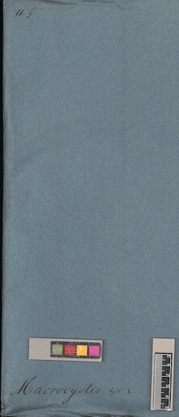 LE A0004444