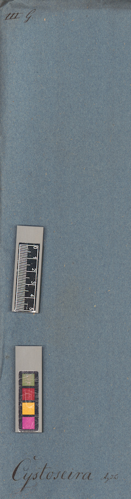 LE A0004453