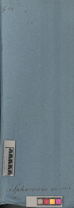 LE A0005899