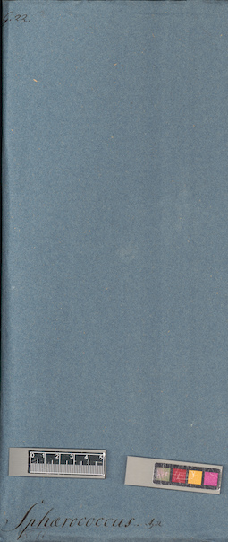 LE A0005923