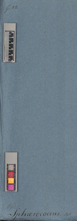 LE A0005932