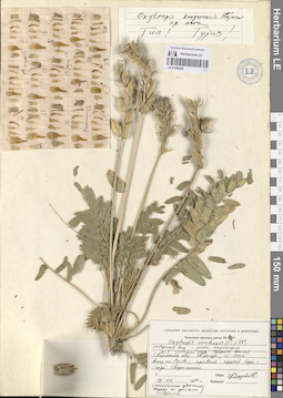 LE 01209220