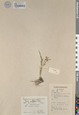 LE 01271192