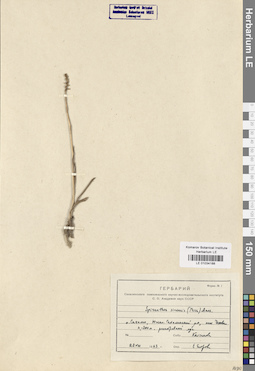 LE 01034188