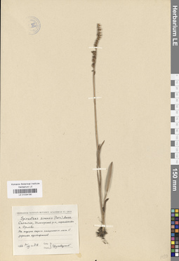 LE 01034190