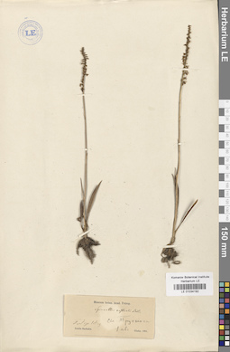 LE 01034192
