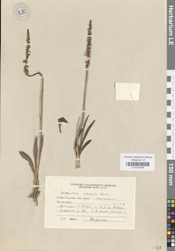 LE 01034193