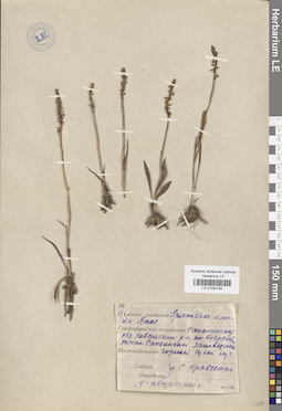 LE 01034194