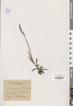 LE 01034196