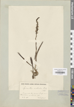 LE 01034197