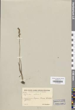 LE 01034198