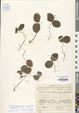 LE 01034212