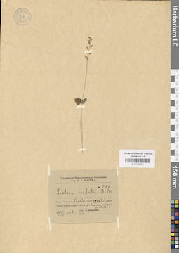 LE 01034221