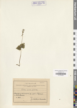 LE 01034224