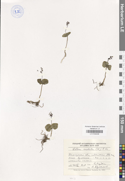 LE 01034228