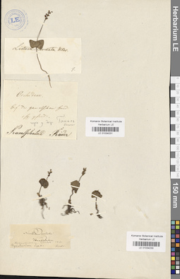 LE 01034230