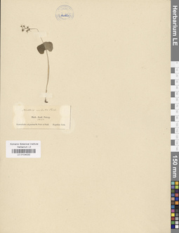 LE 01034232