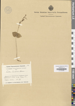 LE 01034258