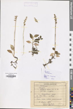 LE 01034367