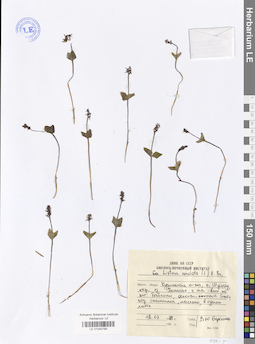 LE 01040795