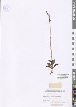 LE 01040898