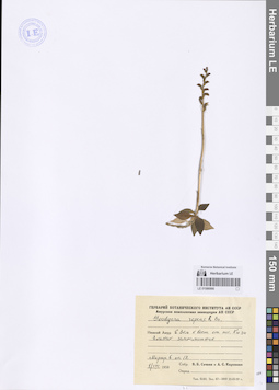LE 01086990