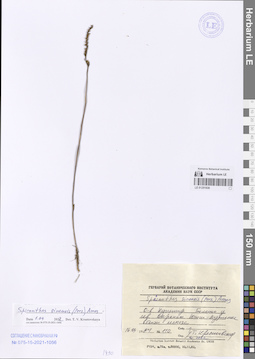 LE 01251830