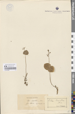 LE 01251846