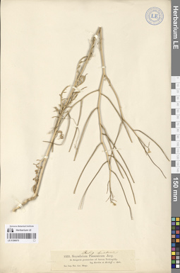 LE 01266075