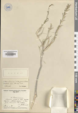 LE 01010053