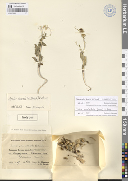 LE 01072903