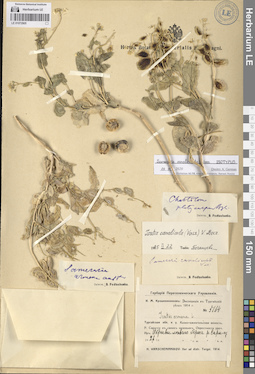 LE 01072905