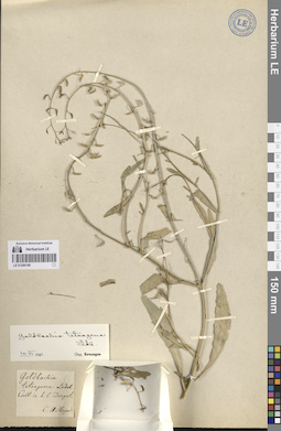 LE 01266186