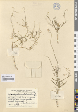 LE 01266195