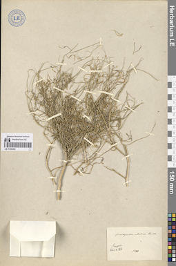 LE 01266202
