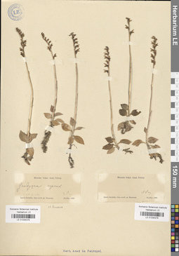LE 01034375