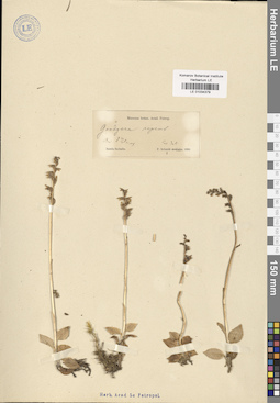 LE 01034379