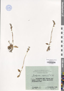 LE 01034384