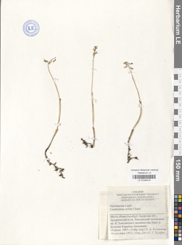 LE 01034419
