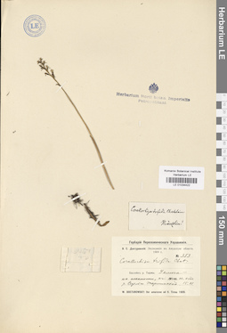 LE 01034422