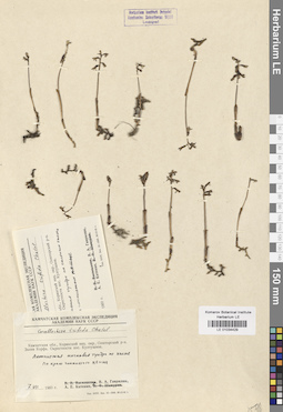 LE 01034429