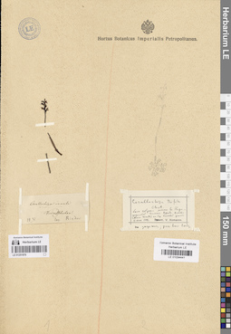 LE 01034441