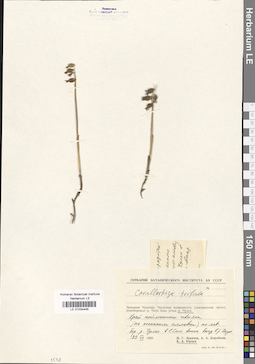 LE 01034446