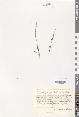 LE 01034450